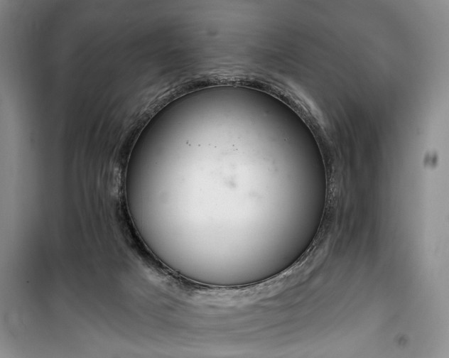 X0000100360025200806131025