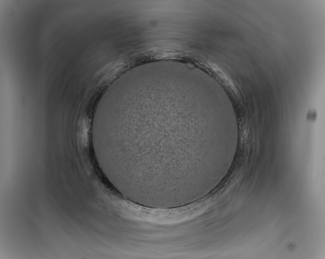 X0000100360026200806131025