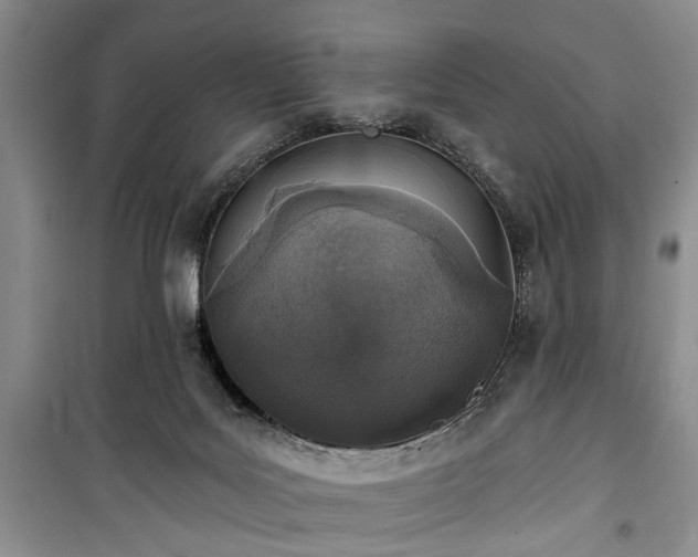 X0000100360027200806131025