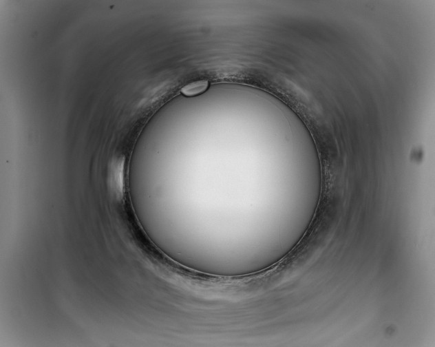 X0000100360028200806131025