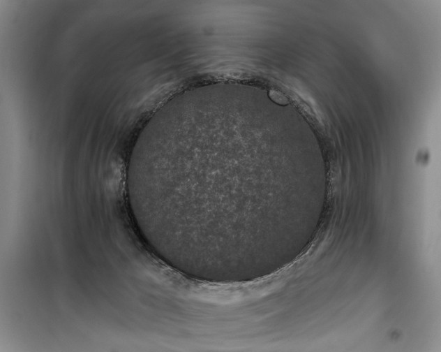 X0000100360029200806131025