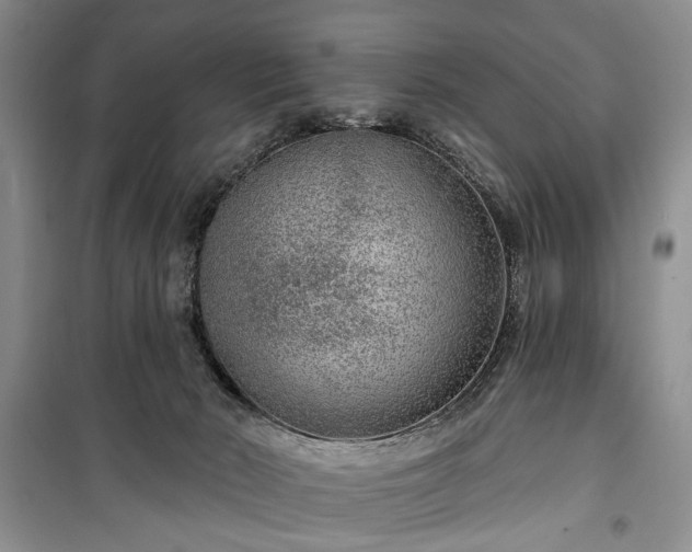 X0000100360030200806131025