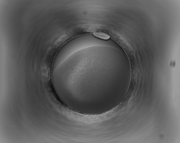 X0000100360031200806131025