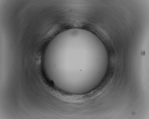 X0000100360032200806131025