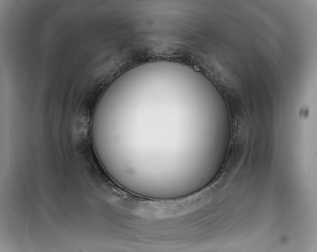 X0000100360033200806131025