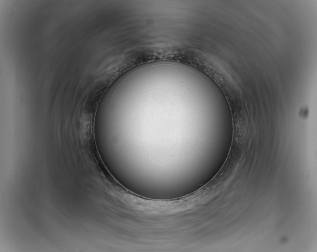 X0000100360034200806131025