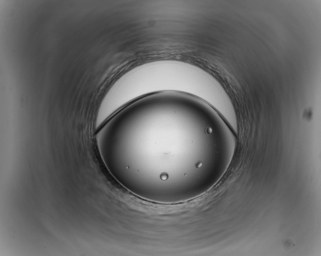 X0000100360035200806131025