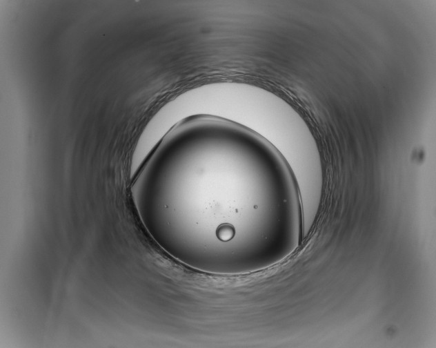 X0000100360037200806131025