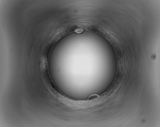 X0000100360038200806131024