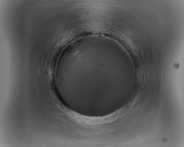 X0000100360039200806131024