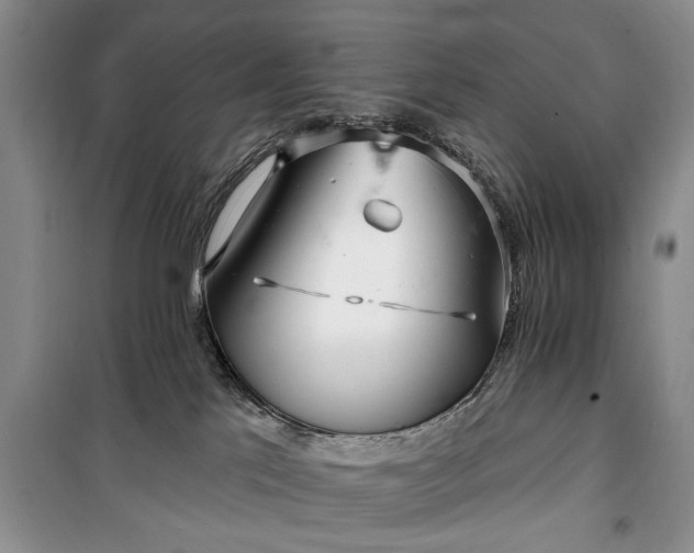 X0000100360041200806131024