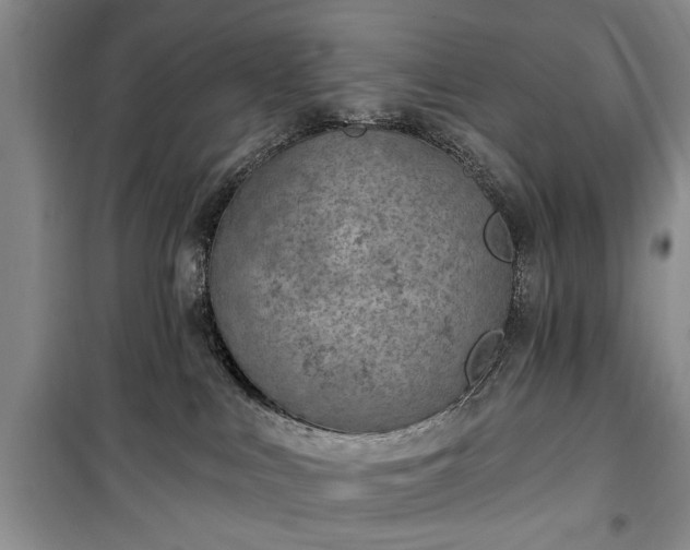 X0000100360043200806131024