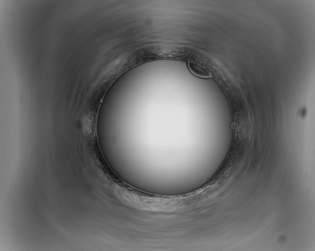 X0000100360044200806131024