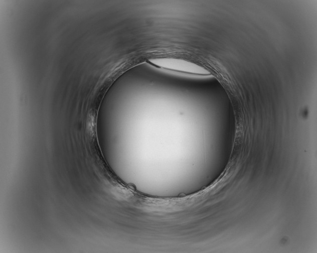 X0000100360045200806131024