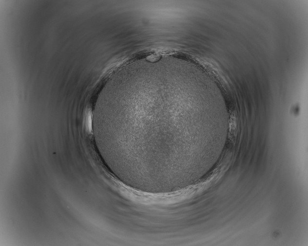 X0000100360046200806131024