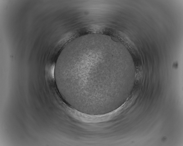 X0000100360047200806131024