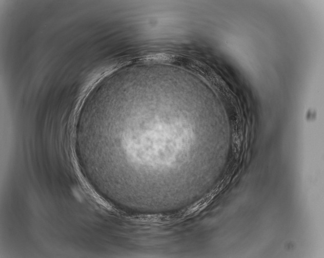 X0000100360049200806131024