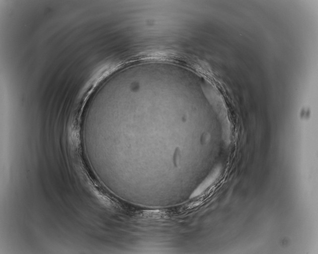 X0000100360050200806131024