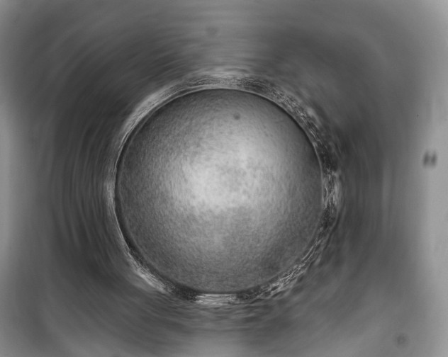 X0000100360051200806131024