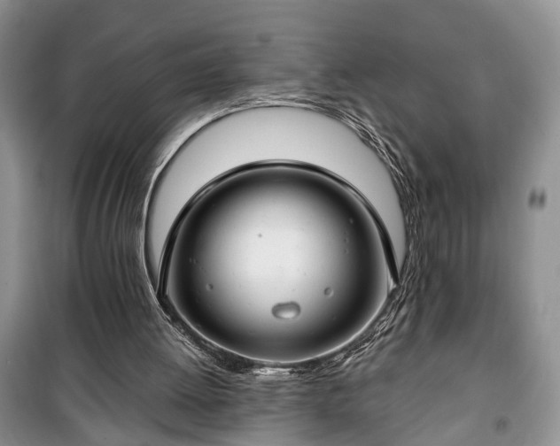 X0000100360052200806131024