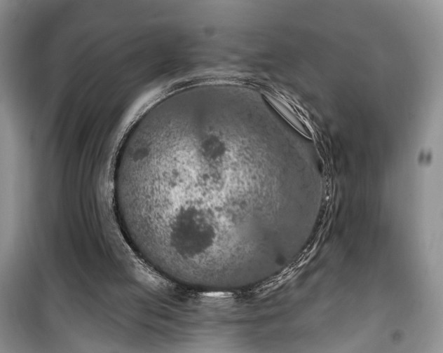 X0000100360053200806131024