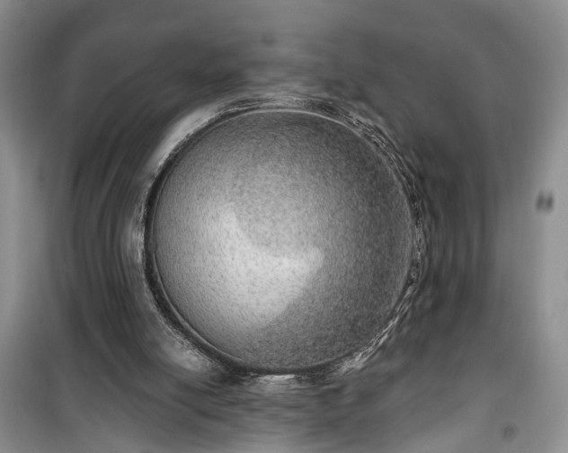 X0000100360054200806131024