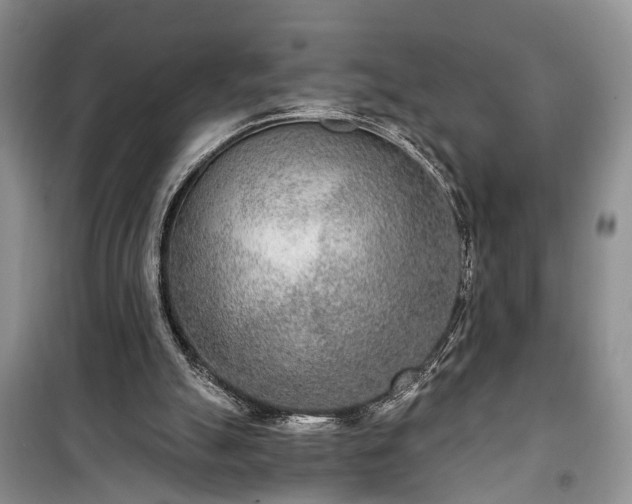 X0000100360055200806131024