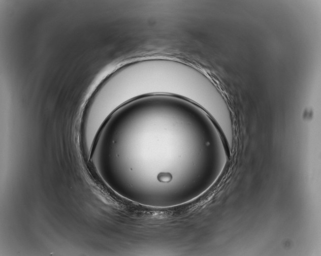 X0000100360056200806131024