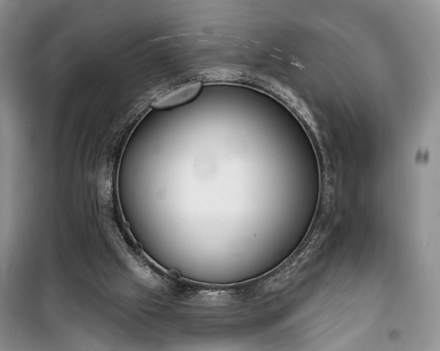 X0000100360057200806131024