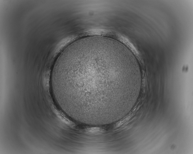 X0000100360058200806131024