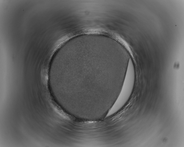 X0000100360059200806131024