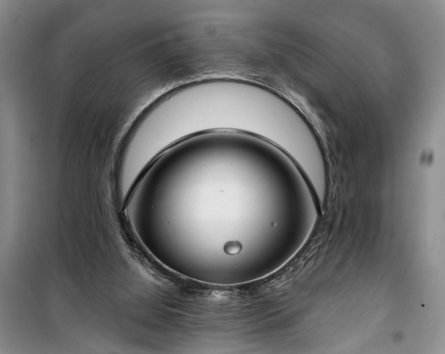 X0000100360060200806131024