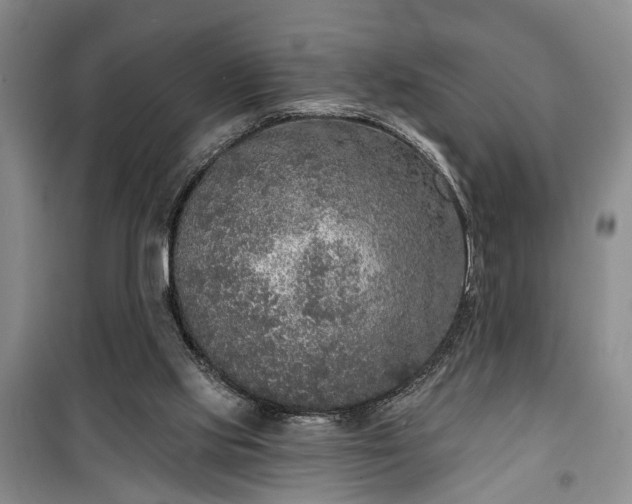 X0000100360061200806131024