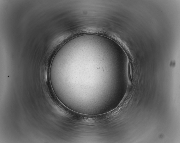 X0000100360062200806131024