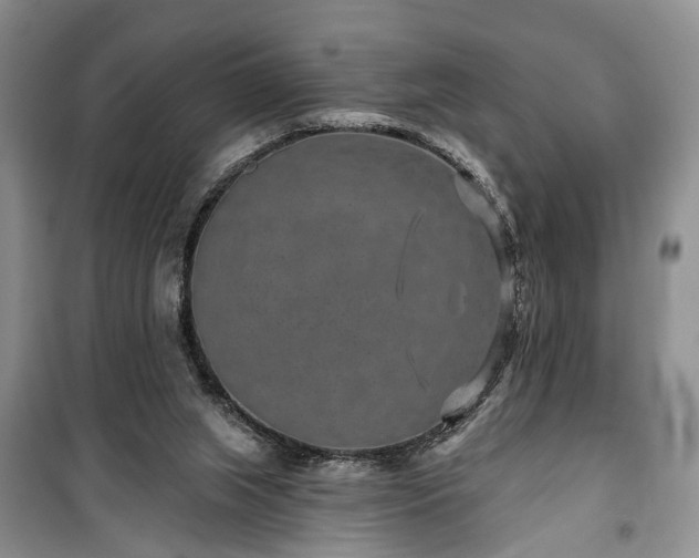 X0000100360063200806131024