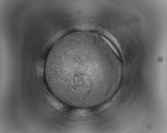 X0000100360065200806131024