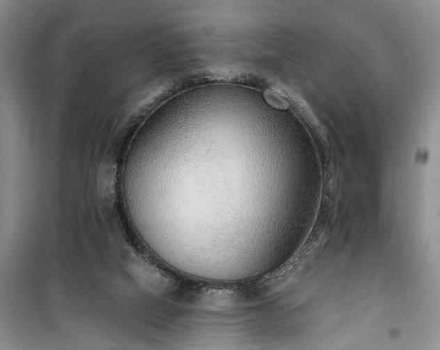 X0000100360066200806131024