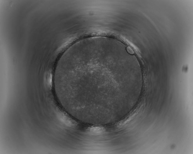 X0000100360067200806131024