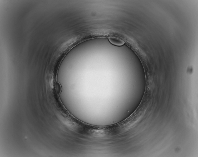 X0000100360068200806131024