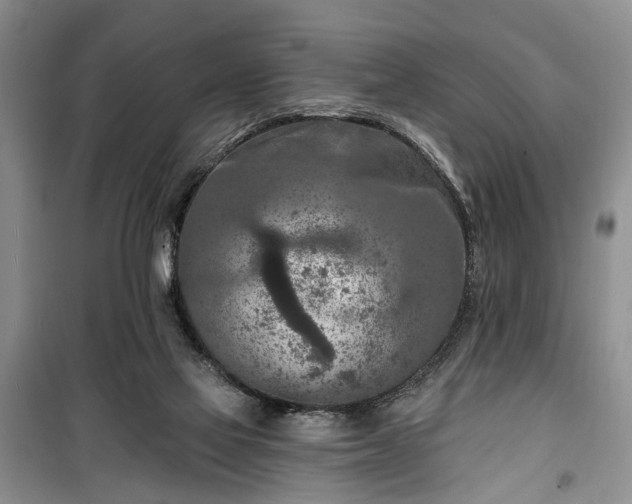 X0000100360069200806131024