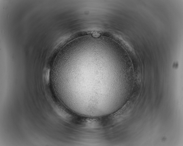 X0000100360070200806131024