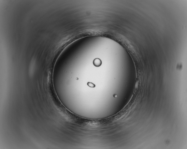 X0000100360071200806131024