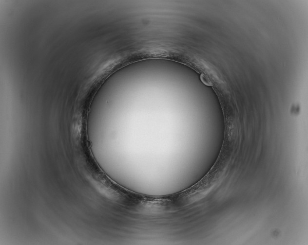 X0000100360072200806131024