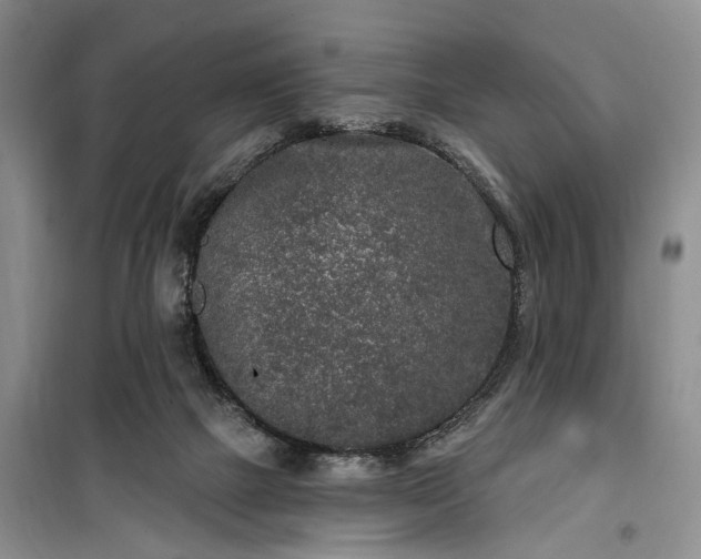 X0000100360073200806131024