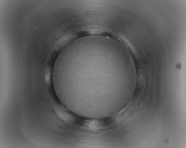 X0000100360074200806131024