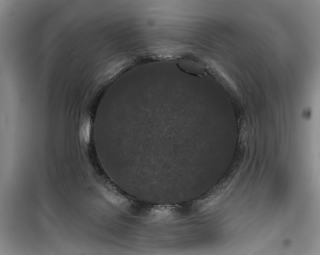 X0000100360076200806131024