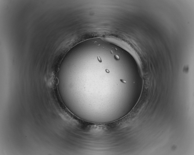 X0000100360077200806131024