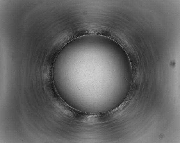 X0000100360078200806131024