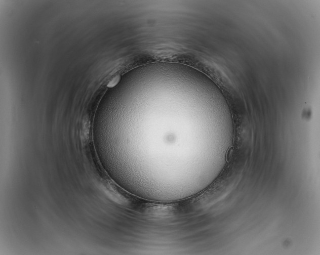 X0000100360081200806131024