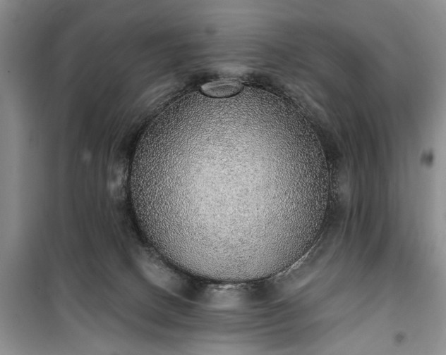 X0000100360082200806131024